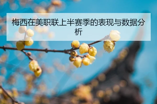 mei-xi-zai-mei-zhi-lian-shang-ban-sai-ji-de-biao-xian-yu-shu-ju-fen-xi-2-109.jpg