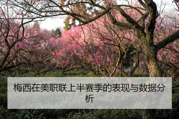梅西在美职联上半赛季的表现与数据分析