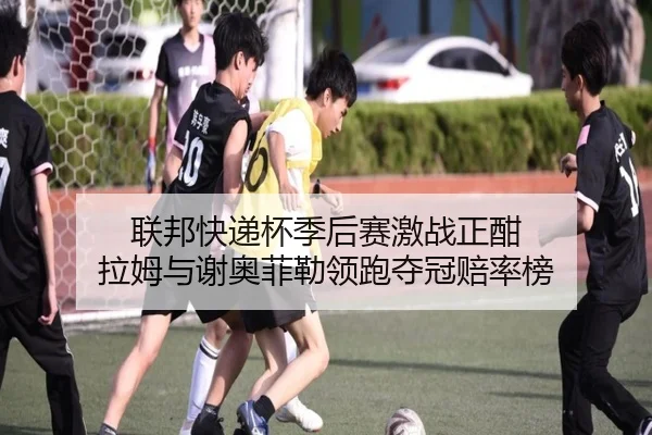 联邦快递杯季后赛激战正酣 拉姆与谢奥菲勒领跑夺冠赔率榜