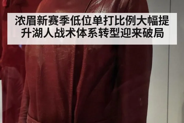 浓眉新赛季低位单打比例大幅提升湖人战术体系转型迎来破局